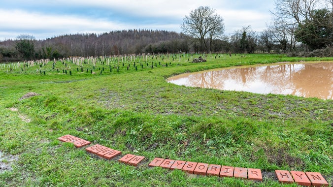 A round pond in Erddig's commemorative woodland, surrounded by engraved bricks featuring a poem, with trees planted around the pond.